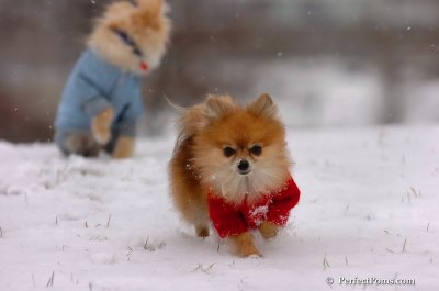 Jan22_08_385.JPG