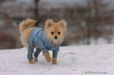 Jan22_08_386.JPG