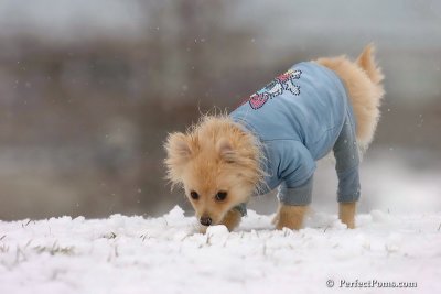 Jan22_08_402.jpg