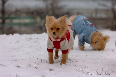 Jan22_08_404.jpg