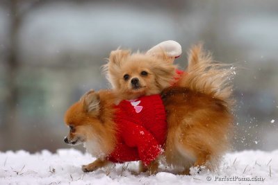 Jan22_08_416.jpg