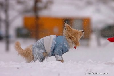 Jan22_08_199.jpg