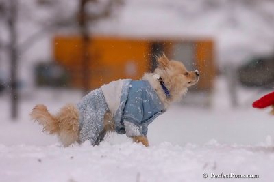 Jan22_08_200.jpg