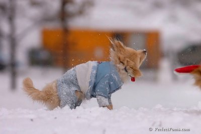 Jan22_08_201.jpg