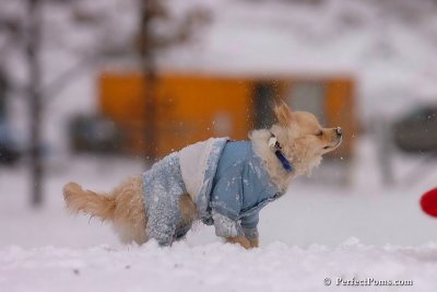 Jan22_08_202.jpg