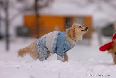 Jan22_08_203.jpg