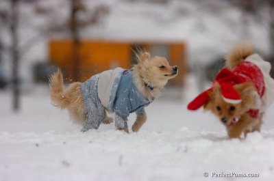 Jan22_08_204.JPG