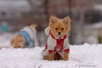 Jan22_08_207.jpg