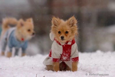 Jan22_08_208.jpg