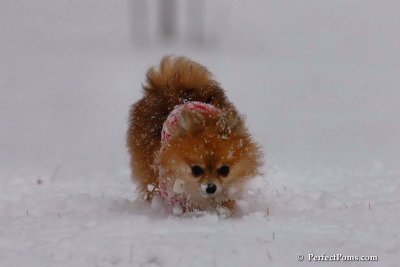 Jan22_08_219.jpg