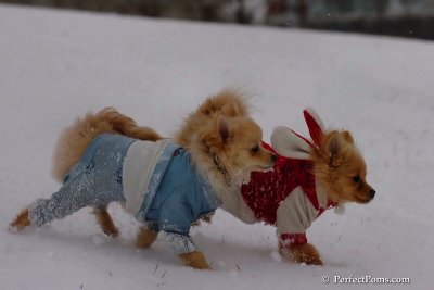 Jan22_08_226.jpg