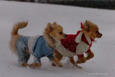 Jan22_08_227.jpg