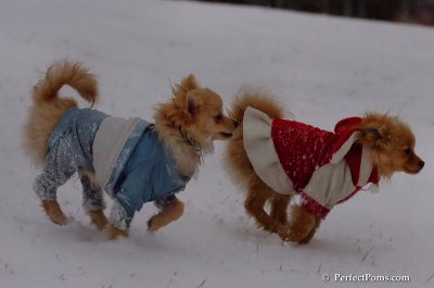 Jan22_08_228.JPG