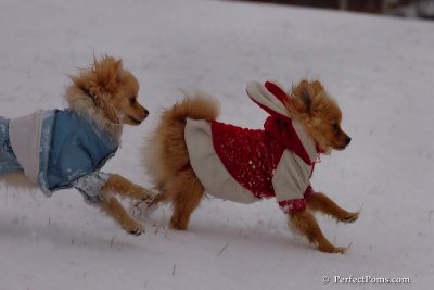 Jan22_08_229.jpg