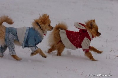 Jan22_08_231.JPG