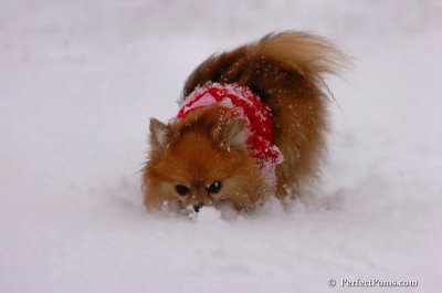 Jan22_08_232.JPG