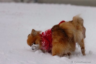 Jan22_08_235.jpg