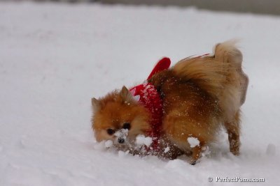 Jan22_08_236.jpg
