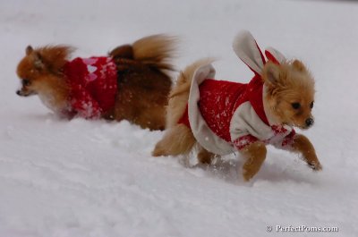 Jan22_08_237.JPG