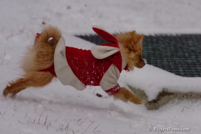 Jan22_08_238.jpg
