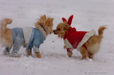 Jan22_08_241.JPG