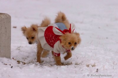 Jan22_08_242.jpg
