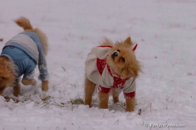 Jan22_08_243.jpg
