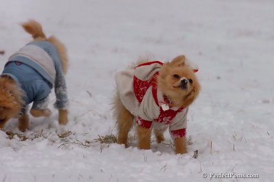 Jan22_08_245.jpg