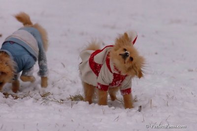 Jan22_08_246.jpg