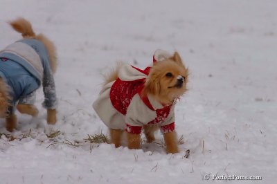 Jan22_08_247.jpg
