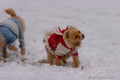 Jan22_08_248.jpg
