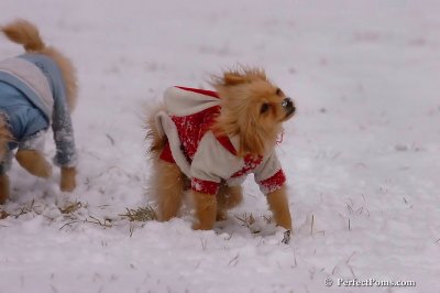Jan22_08_249.jpg
