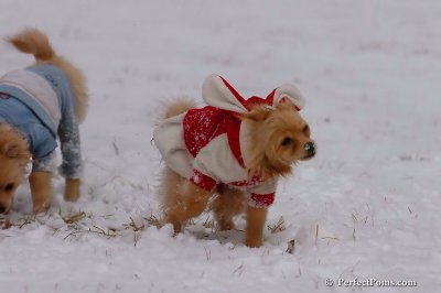 Jan22_08_250.jpg