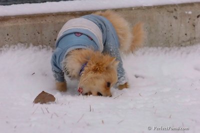 Jan22_08_254.jpg