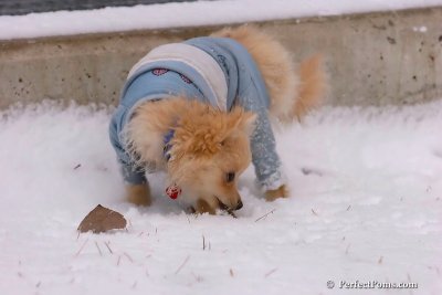 Jan22_08_255.jpg