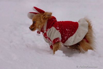 Jan22_08_257.jpg