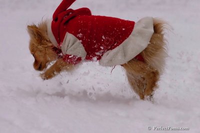 Jan22_08_258.jpg