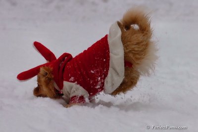 Jan22_08_259.jpg