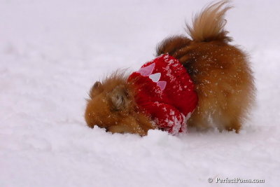 Jan22_08_269.jpg