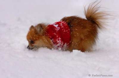 Jan22_08_270.JPG