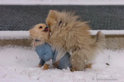 Jan22_08_273.JPG