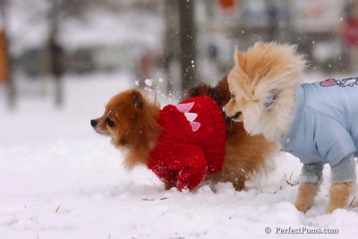 Jan22_08_006.jpg