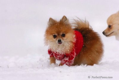 Jan22_08_024.jpg