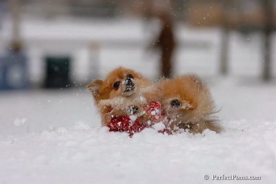 Jan22_08_033.jpg