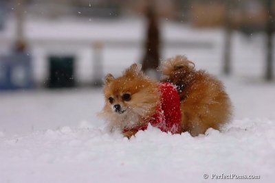 Jan22_08_035.jpg