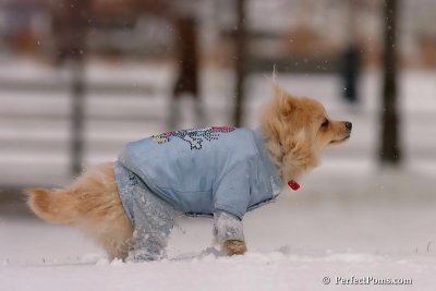 Jan22_08_039.jpg