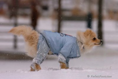 Jan22_08_042.jpg