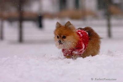 Jan22_08_046.jpg