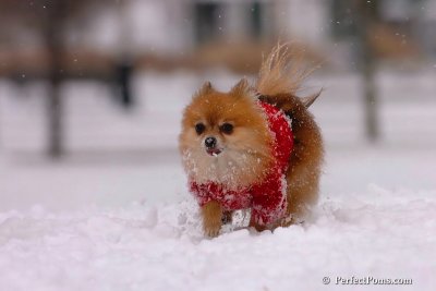 Jan22_08_047.jpg