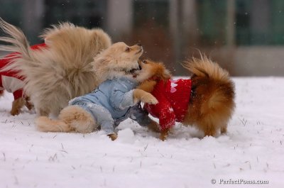 Jan22_08_052.JPG